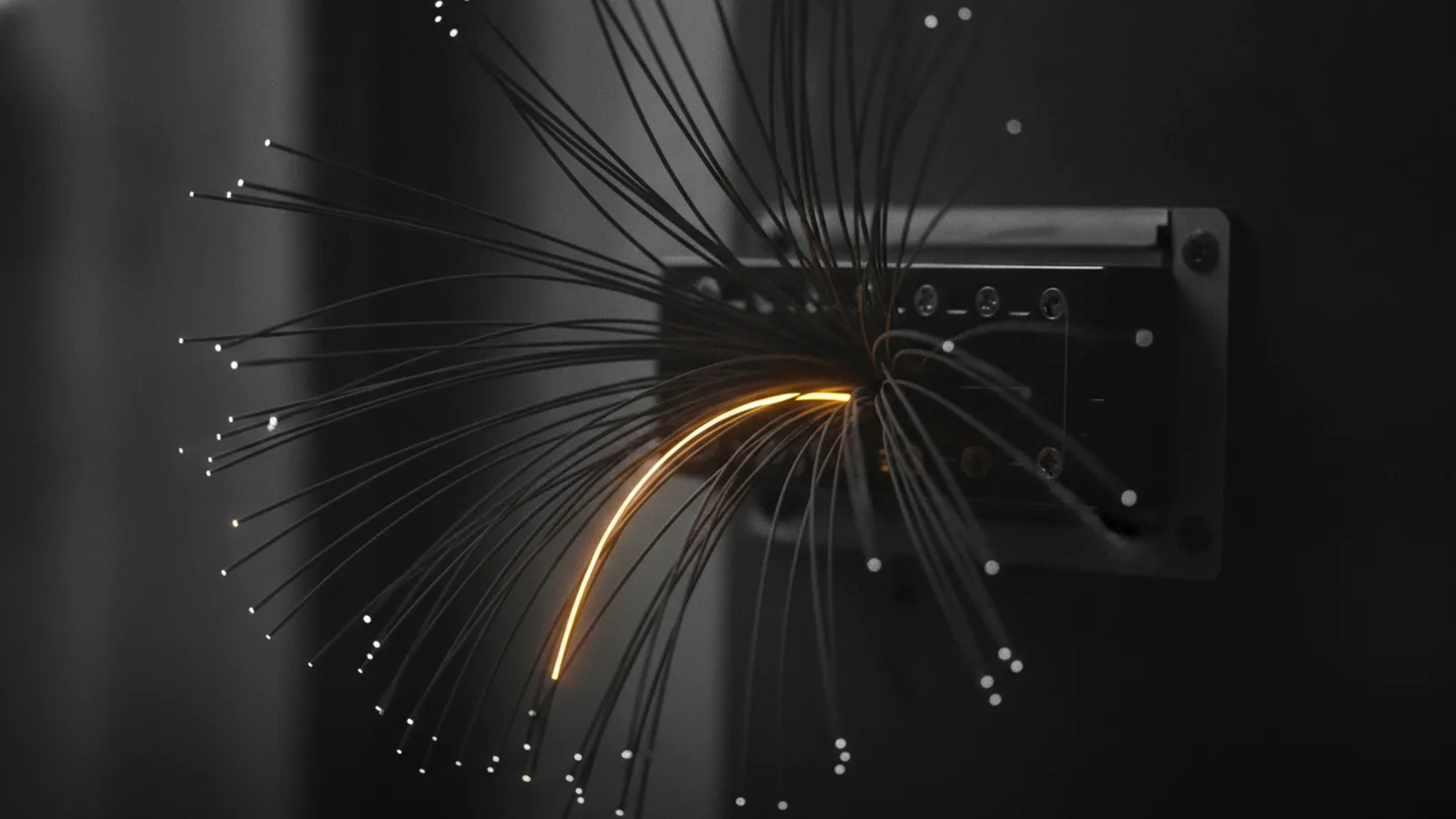 Un faisceau de brins de fibre optique sombres qui s’épanouissent hors d’un boîtier d’épissurage, un seul brin traversé par un fin filet de lumière ambre.
